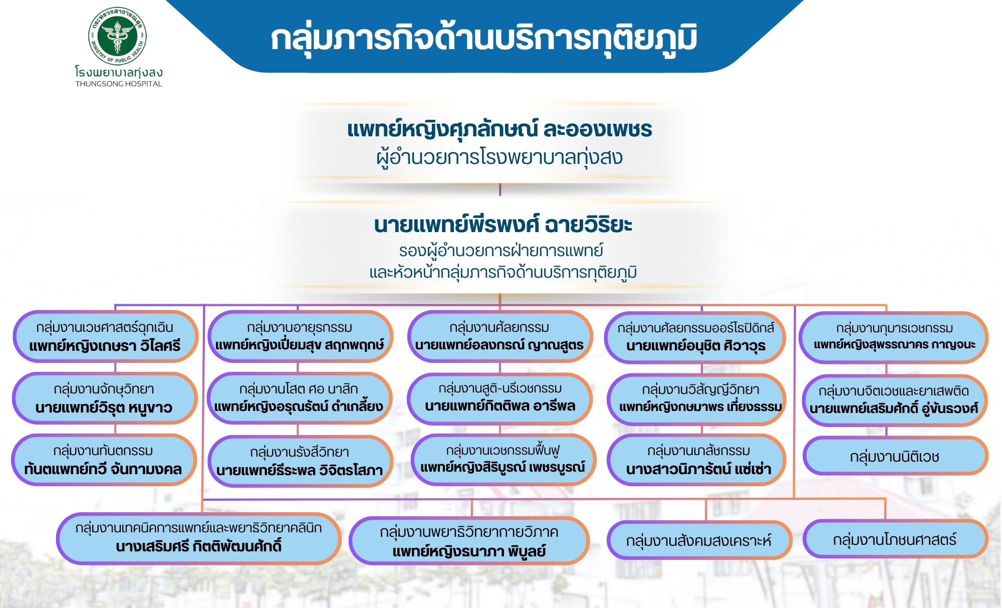 Hospital-Executive-Structure