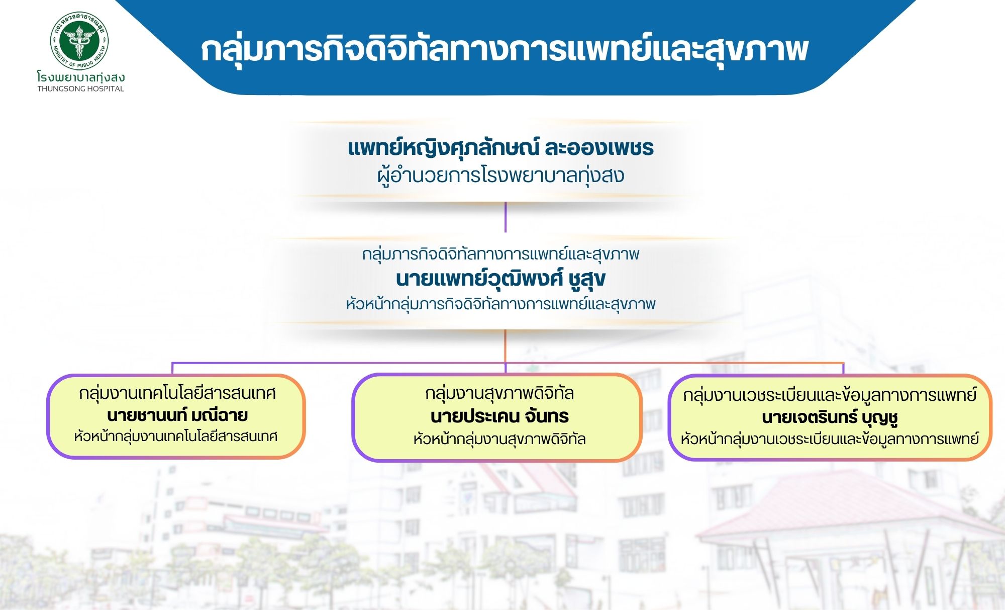 Hospital-Executive-Structure