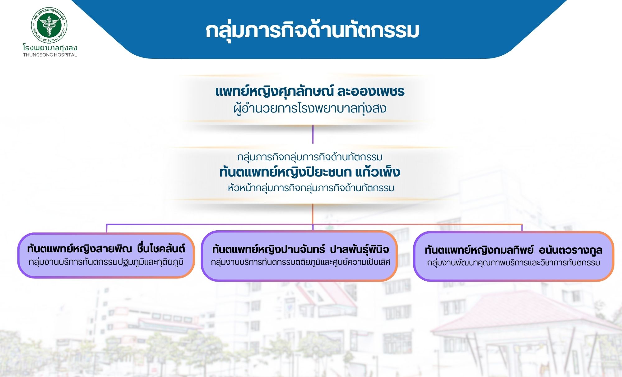Hospital-Executive-Structure
